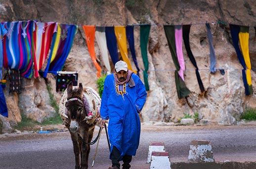 טיול מאורגן למרוקו | צילום: עילי גולן טיול מאורגן למרוקו | צילום: עילי גולן